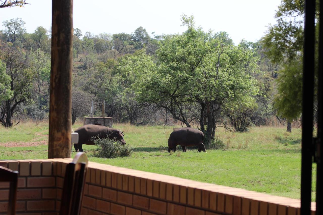 Ferienwohnung Wilgeboomsdrift Safaris Modimolle Exterior foto